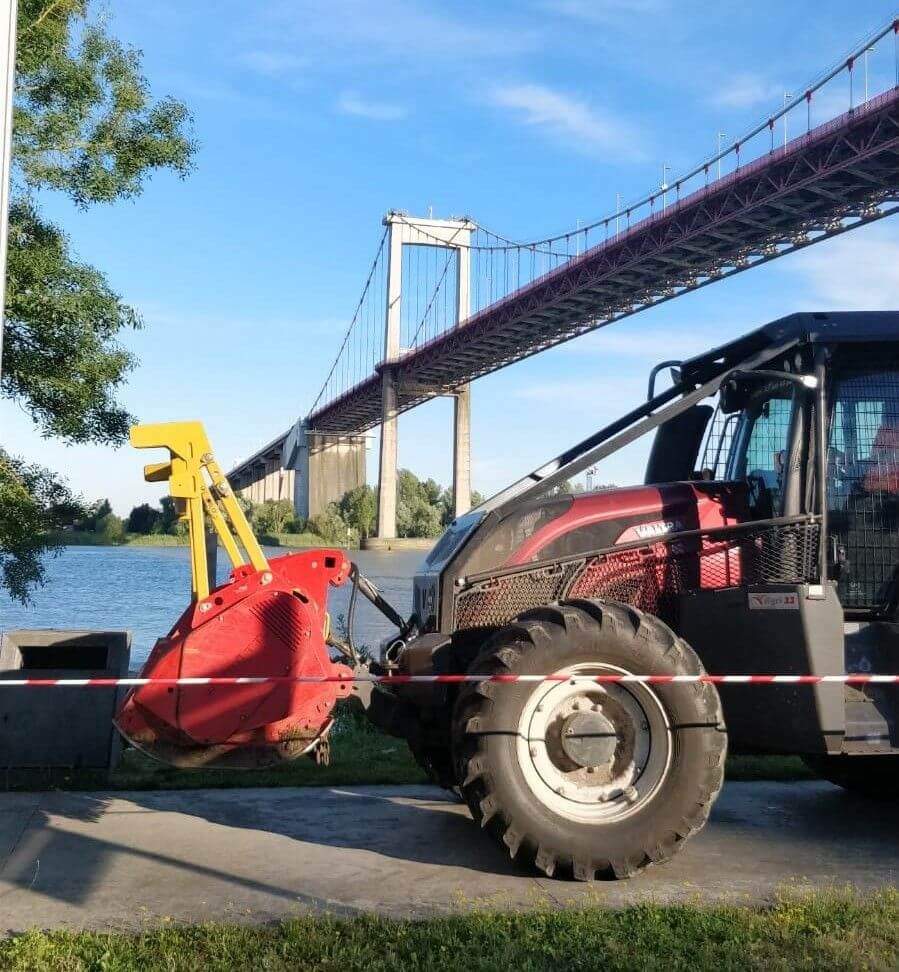 Bordeaux - Débroussaillage des bords de Garonne, sous le pont d'aquitaine - Lormont1.jpg